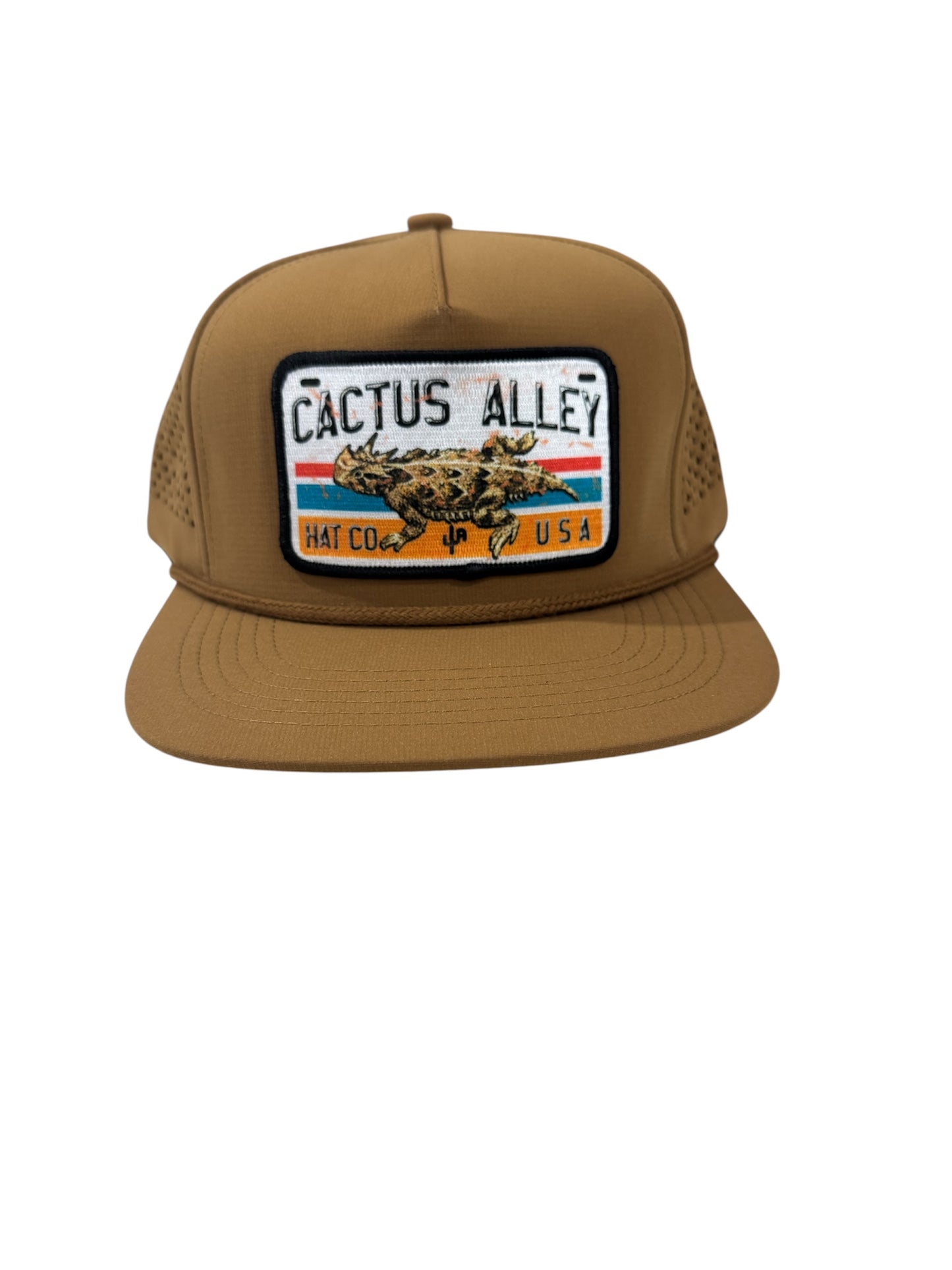 Horn toad hat cactus Alley