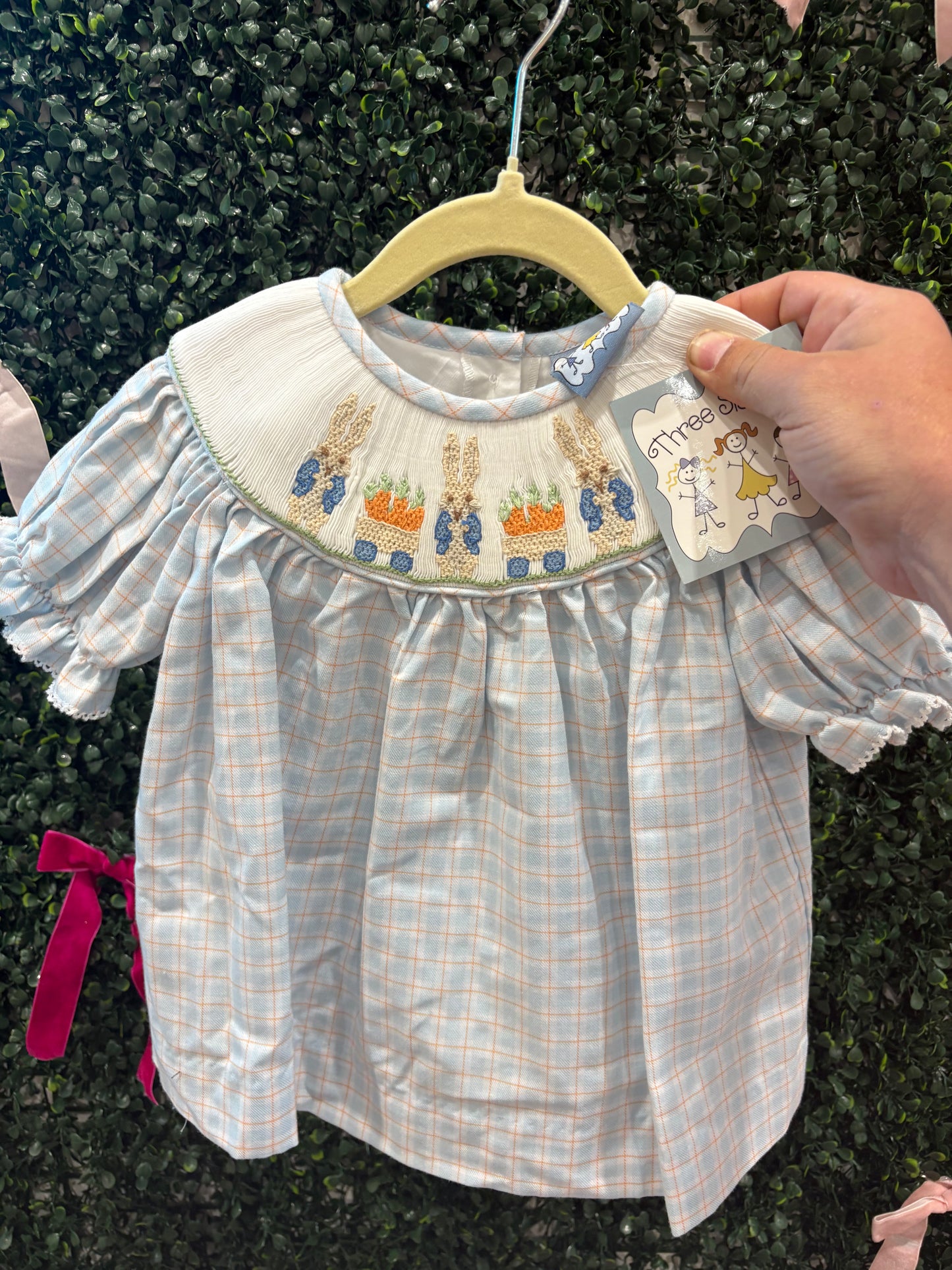 Peter rabbit dress
