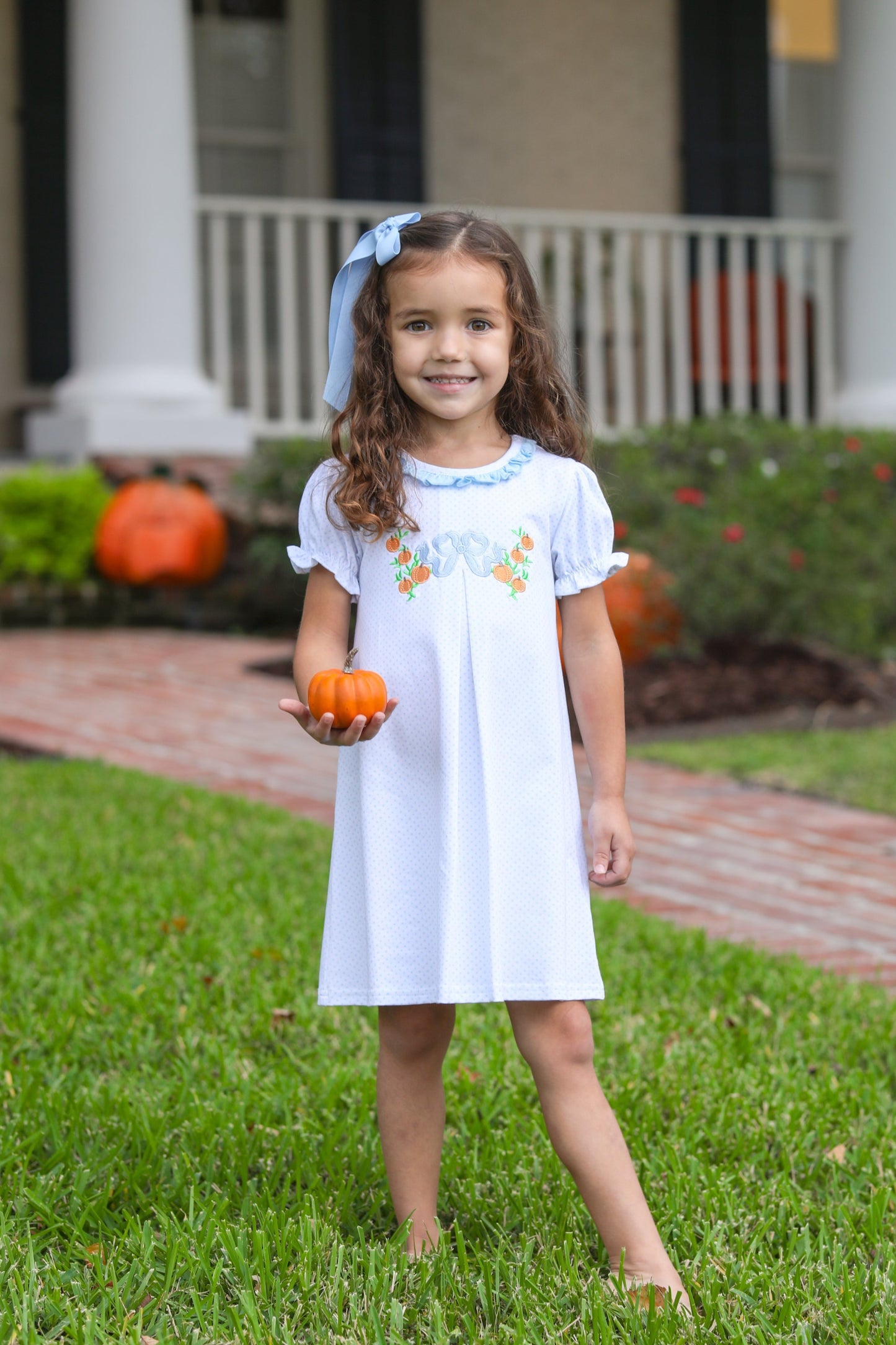 Pumpkin embroidery dress