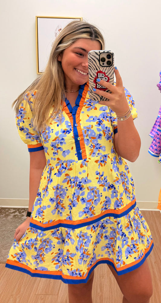 Blue Bonnet Dress