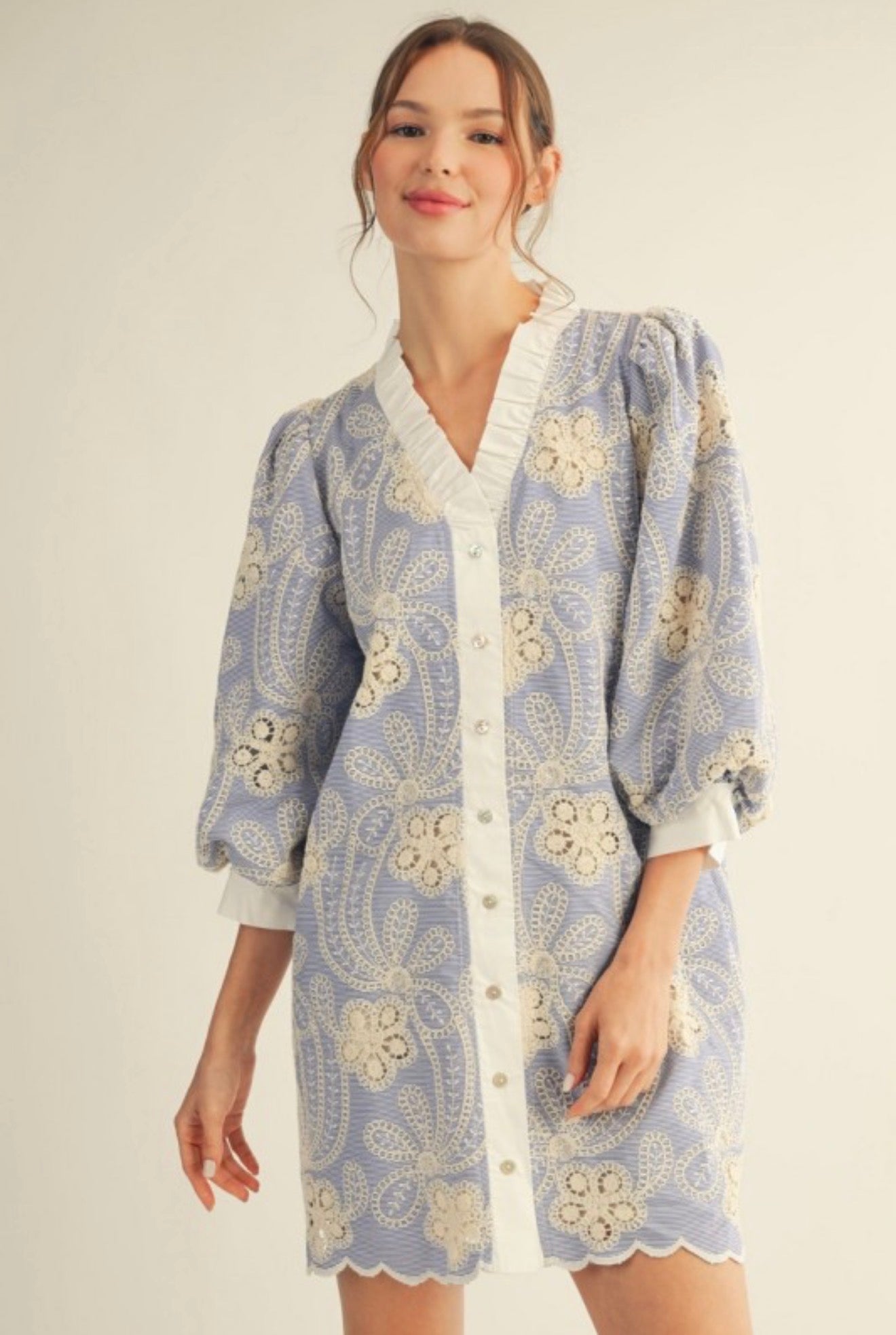 Blue Party Garden Dress