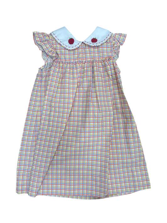 Krewe Primary Plaid Apple Dress