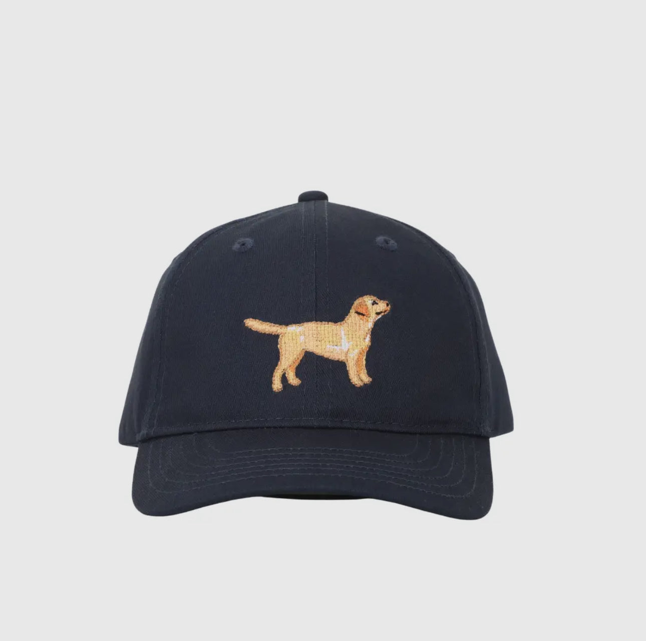 Little boys lab hat