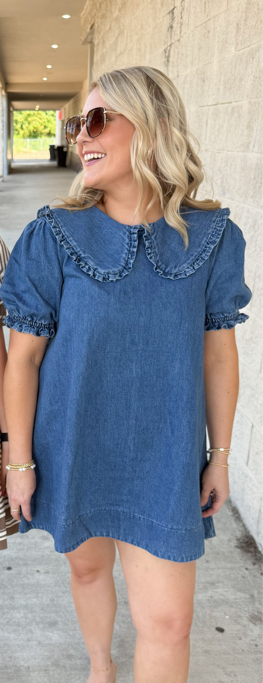 Denim Mini Dress