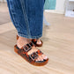 Jelly Tortoise Slides