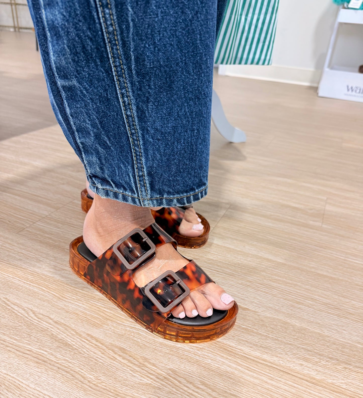 Jelly Tortoise Slides