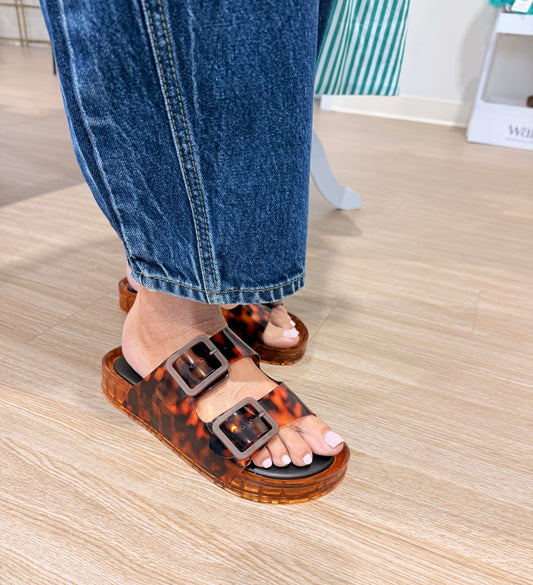 Jelly Tortoise Slides