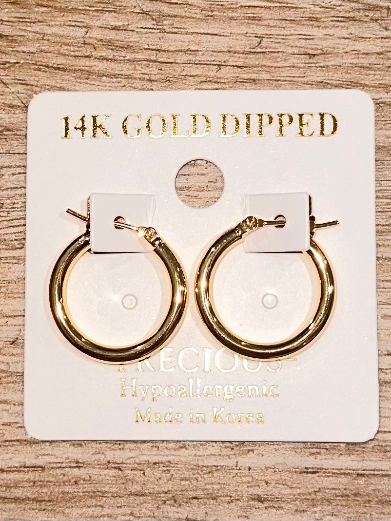 Small Gold Hoops
