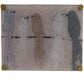 Birds Acrylic Tray