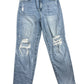 Risen Light Wash Skinny Jeans